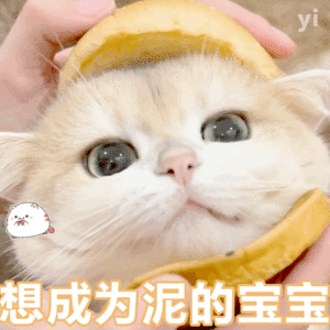 表情包,自我感动是病态
