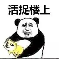 庆究极怒龙改39上线,500钻石星座头像等你来赢
