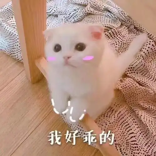 宠物护理怎么给猫咪剪指甲

