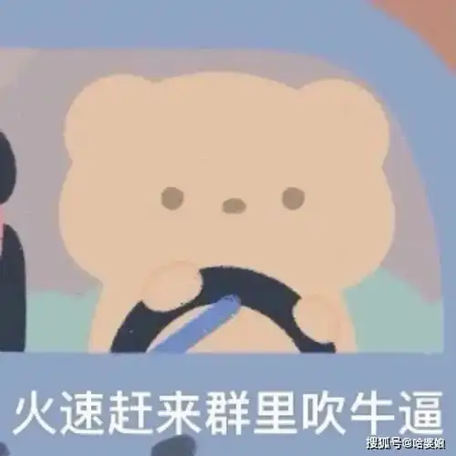 超可爱小熊系列表情包赶快码住
