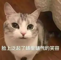 因为猫,老公已经三天没理我了
