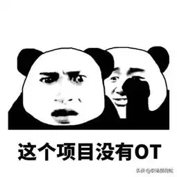 只有财会人看得懂的表情包,审计人也被打动了
