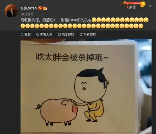 粉丝送信提醒许凯吃太胖会被杀掉许凯发一连串微笑表情很感动

