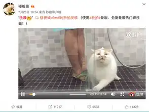 别看有的人表面风风光光,其实私底下连一只猫都没有
