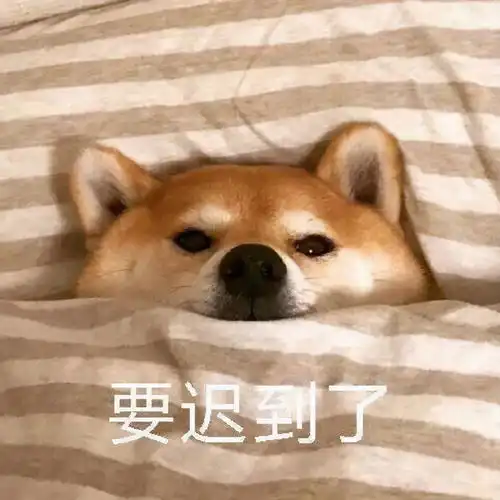 柴犬冬季打工人表情包合集不想起床,不想上班
