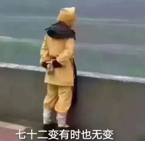 有哪些能把人笑yue的沙雕朋友圈文案
