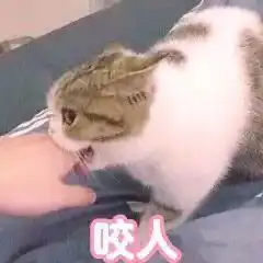 表情包可爱丨你也不是什么好东西
