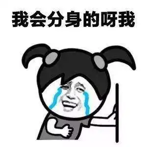 我是枸杞红枣桂圆表情包分享我不是丹参表情包大全
