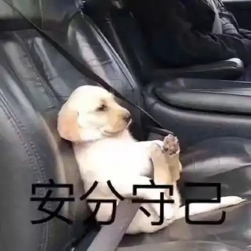 清明出行游玩,不注意这些,秒变致命杀手
