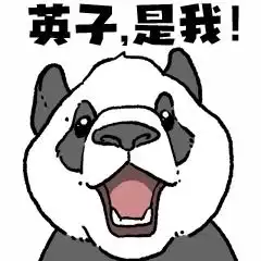 爱福之人必看16个福宝打开方式
