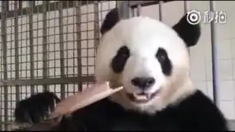 啊哈哈
