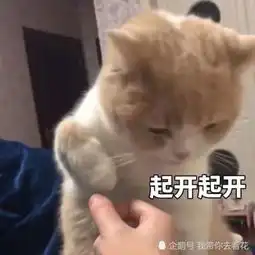 奶凶表情包了解一下,想要怼我,不存在
