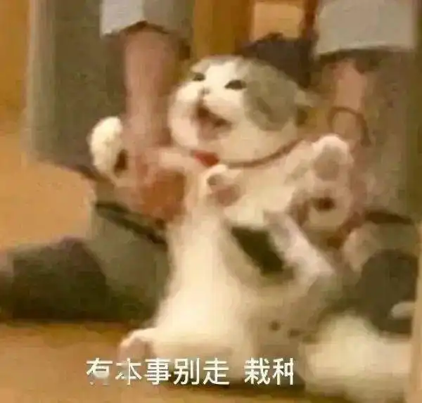 有小脾气了
