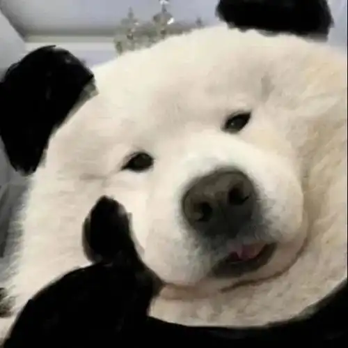 捧腹大笑的沙雕文案

