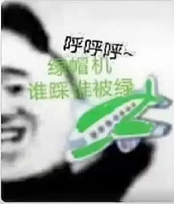 有没有拿着个飞机呼呼呼的熊猫表情包
