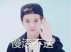 鹿晗黄子韬吴亦凡张艺兴我们有话要说
