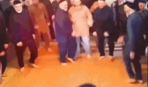 谁都在问的狗子蹦迪表情包,这次不鸽了,呜呜呜
