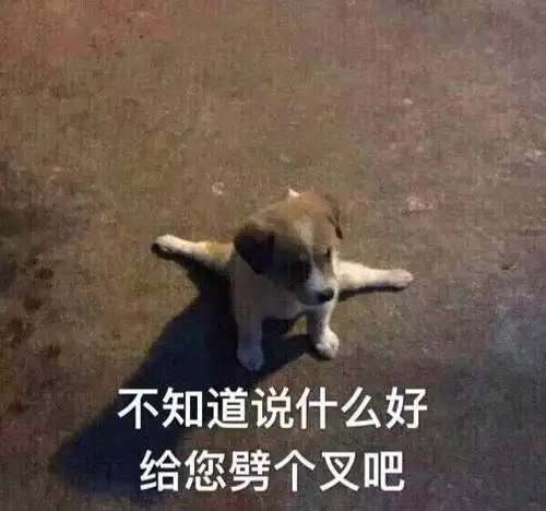 搞笑表情包图片我现在只想搞钱
