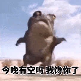 抖音热门表情包
