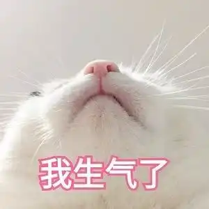 表情包堪称封神的表情包吖
