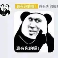 匹配熊猫头表情包的沙雕文案
