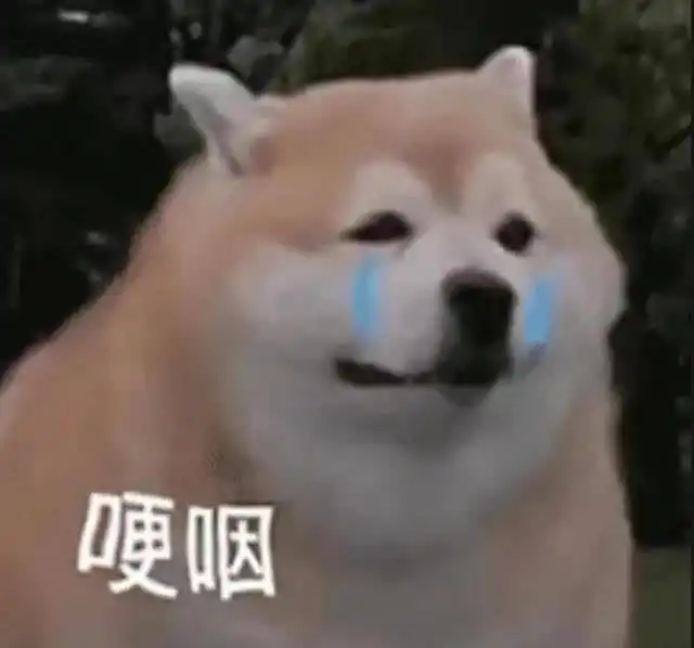 表情包狗狗祟祟
