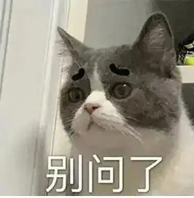 5.16表情包丨次块小饼干
