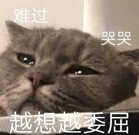 妹子绑架小区猫老大的儿子,结果被对方找上门网友看它这面相你药丸
