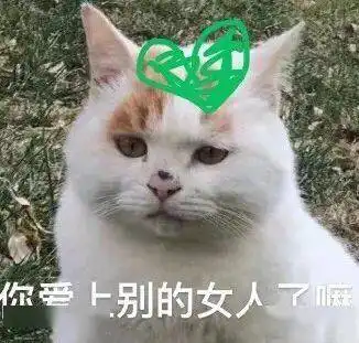 你以为你很牛吗