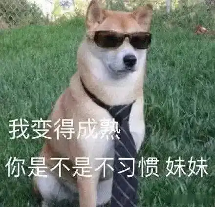 家人们,队友点你该怎么办
