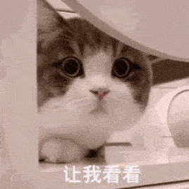 丁丁居然会啪骨折

