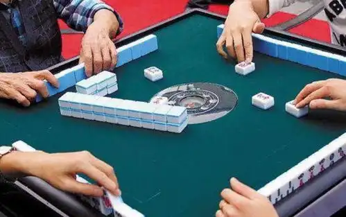 女版马加爵19女大学生月入3万,因帮忙打麻将酿血案
