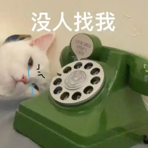 玩个球丨第791期喵表情包
