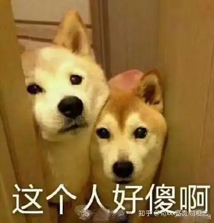 柴犬表情包搞笑太原钟楼