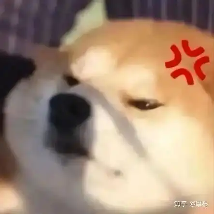 备考公务员有必要报大机构吗有什么性价比高的一对一考公机构推荐吗
