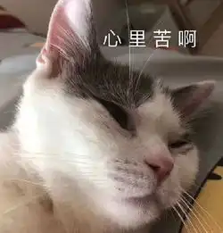 我是警察,拷走
