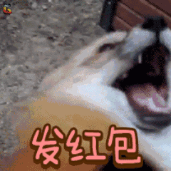 爆竹狗年报,铃响祝福到
