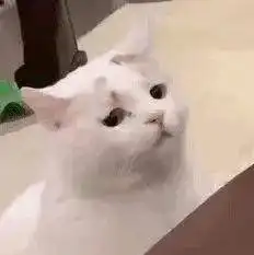 日语里的可爱有多少种说法
