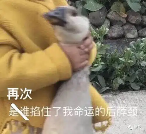 古人用这么高的枕头,是喜欢落枕吧
