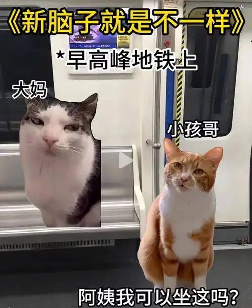 现在流行的表情包,连00后都看不懂
