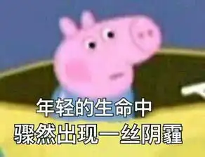 收了这套小猪佩奇表情包怼人撕逼都充满了底气
