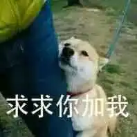 关于汪星人系列表情包
