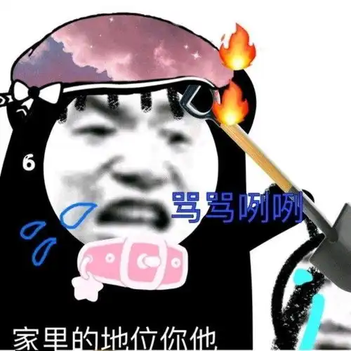 沙雕表情包我捡破烂养你啊
