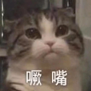 超可爱的沙雕猫咪表情包第二期
