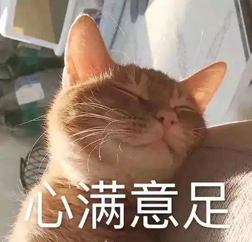 每日表情丨你什么时间娶我
