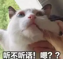 宠物表情包搞笑图片