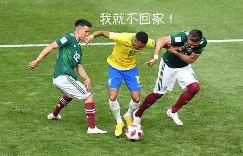 球场难料巴西挺进八强比利时逆转胜日本
