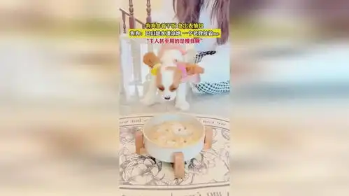 狗狗急着干饭,急出表情包,主人甚至用的是慢食碗
