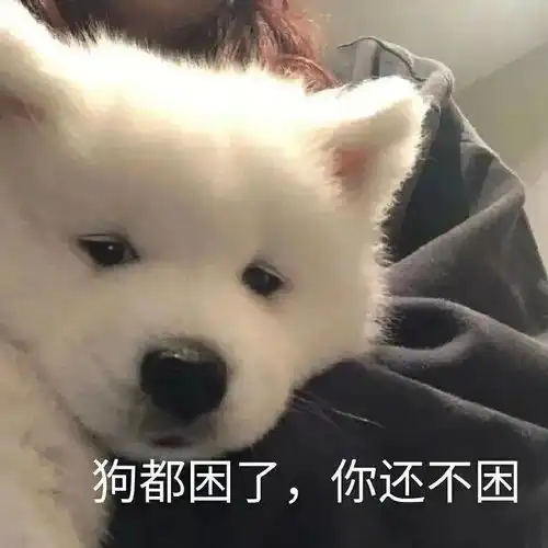 当场气晕