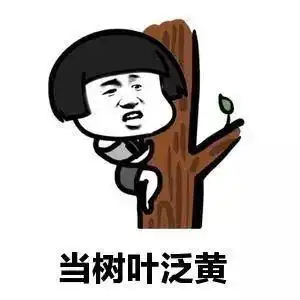 开心笑话上个月俺哥买了套房子,把俺们一家人都接过去住了
